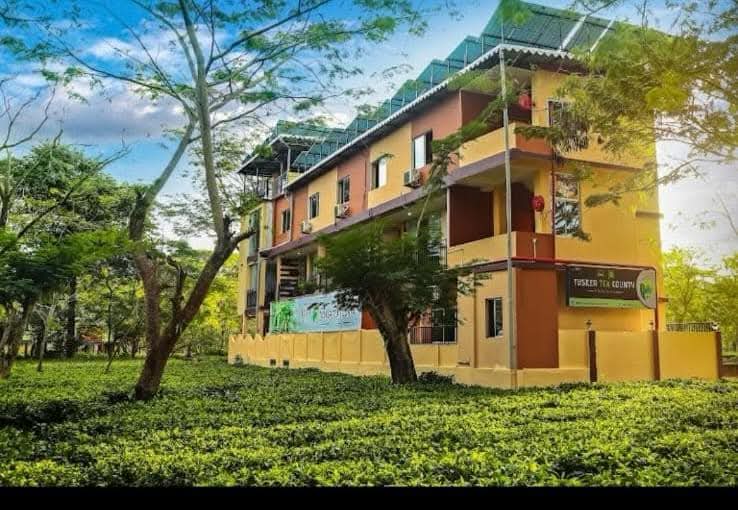 💡 How Solar Energy Can Transform the Global Economy